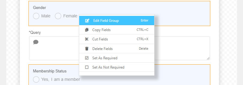 NEX-Forms - Field Styling - Figure - 1