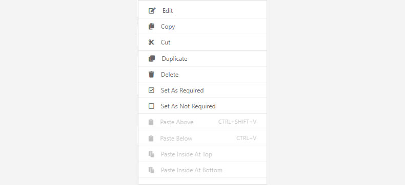 NEX-Forms - Contect Menu - Figure - 2