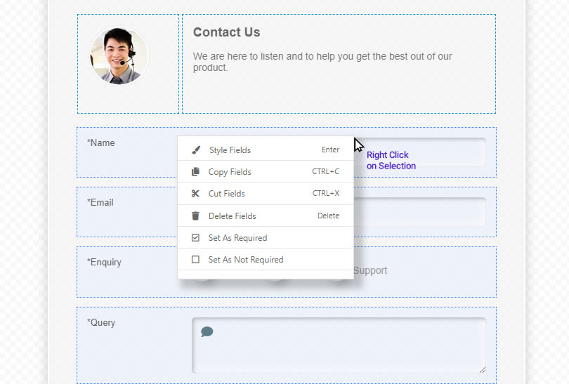 NEX-Forms - Contect Menu - Figure - 3