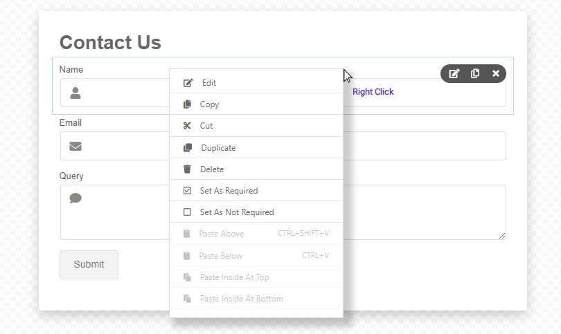 NEX-Forms - Form Fields and Elements - Text Fields - figure - 3