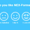 NEX-Forms - Interactive Form Example 2